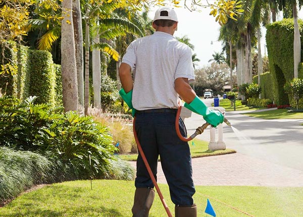 About Forest Grove PA Pest Control Pros